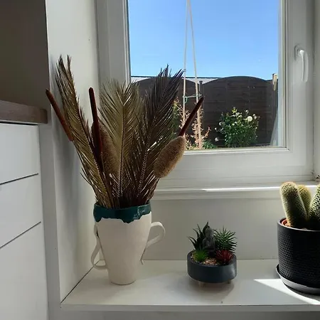 Avec Salle De Bain Partagee Dans Maison De Avec Jardin Apartment